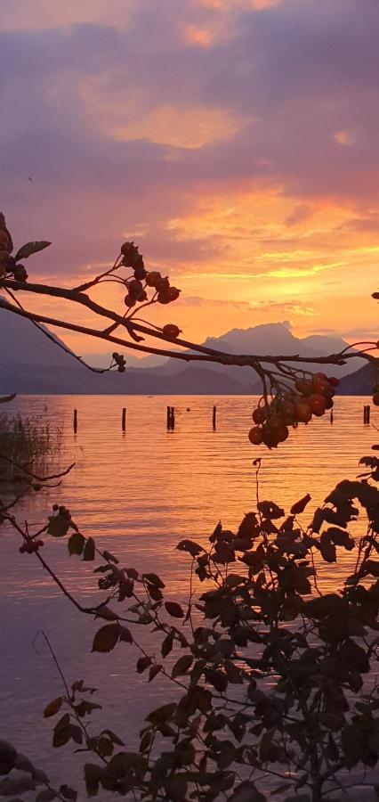 Ferienwohnung Ankerplatz Spiez Exteriér fotografie